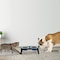 Pet Adobe Elevated Pet Bowls with Non-Slip Stand for Food and Water, Dogs / Cats 16-ounce Each, Blue 888442ELC - alternate 4